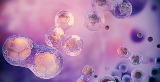 Tu microbiota íntima: la clave para tu bienestar general
